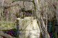 The well