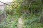 the garden