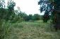 the land