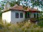 The family house