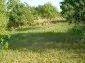 Garden 2