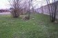 The garden