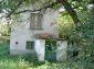 The house