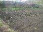 The yard