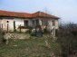 The house