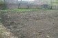 The garden