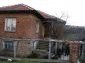 The estate