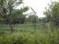 Garden 2