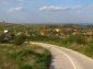 The asphalt road
