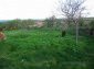Garden 2
