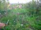 Garden 1
