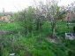 Garden 2
