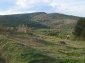 View to the mountain 2