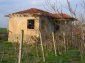The house