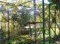 The garden