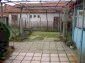 Trellis vine