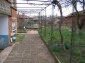 Trellis vine