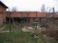 Garden 2