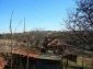 A view