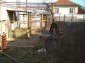 The garden with the well