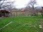 Garden 1