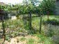 Garden 1