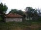 The estate