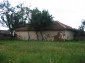 The estate