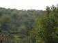 The land