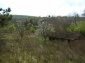 The yard
