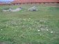 The land