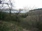 The garden