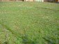 The plot of land