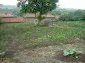 The garden