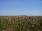 Lands for sale near Pleven