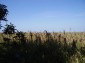the land 2