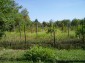 Lands for sale near Pleven