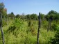 the property