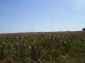 The plot of land