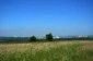 A view