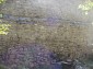 the walls outside
