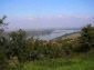 A view