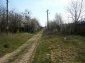 The road
