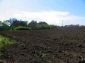 Lands for sale near Yambol