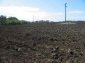 The land