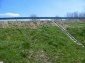 The plot of land