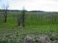 Lands for sale near Yambol