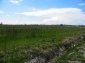 The land