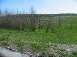 The plot of land