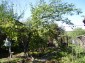 a garden